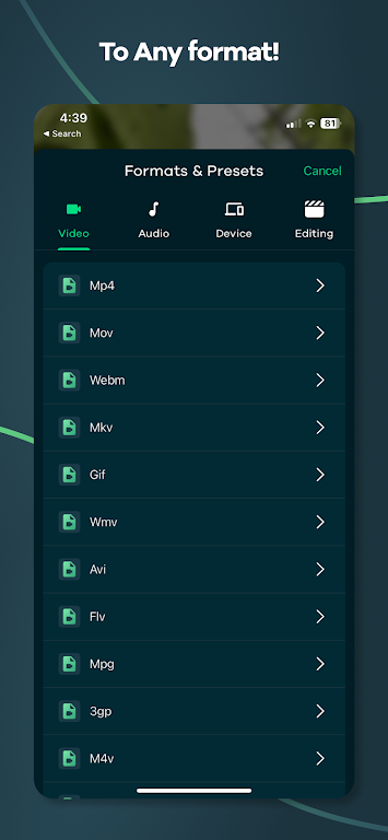 Video Converter - Remux 螢幕截圖 1