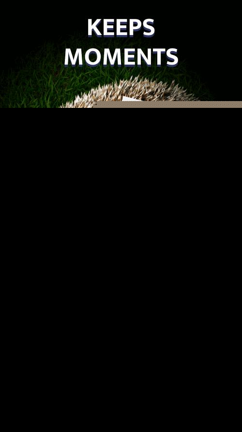 Flashlight Plus Screenshot 2