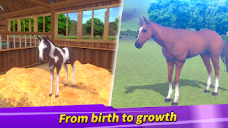 Derby Life : Horse racing 螢幕截圖 1