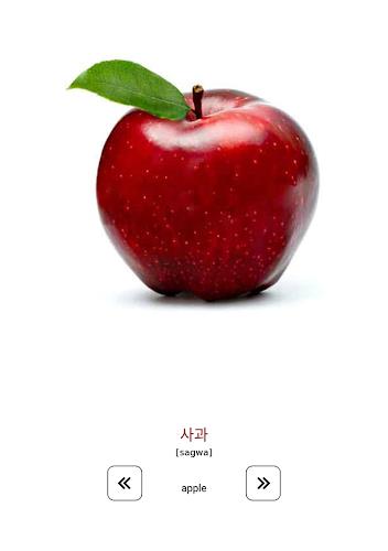 Learn and play Korean words应用截图第3张