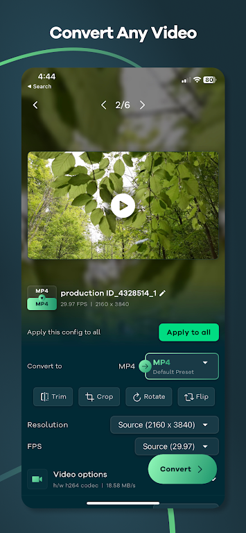 Video Converter - Remux 螢幕截圖 0