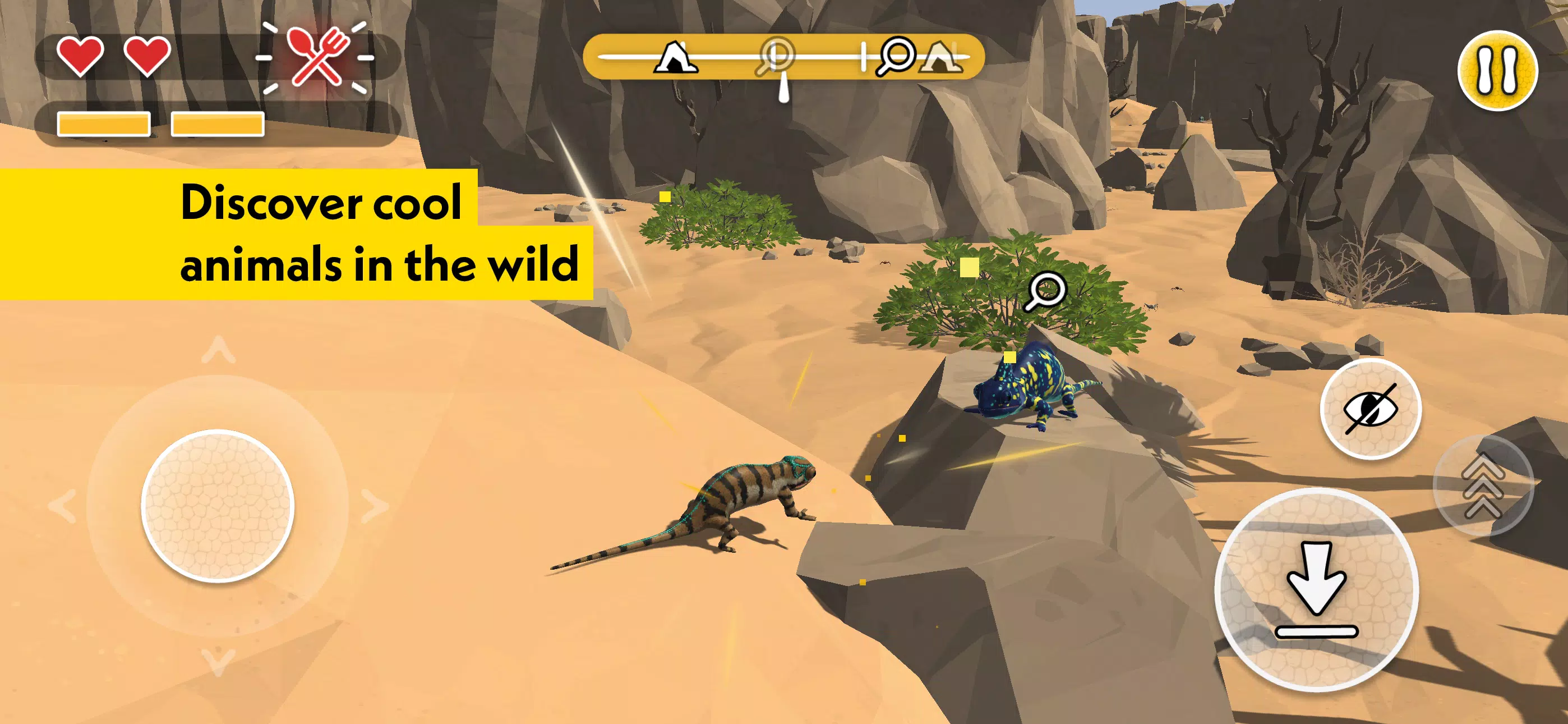 PLANET WOW Wildlife Adventure Capture d'écran 3