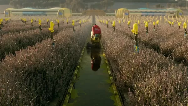 Des rumeurs de Marathon F2P se sont dissipées, les prix seront annoncés cet été