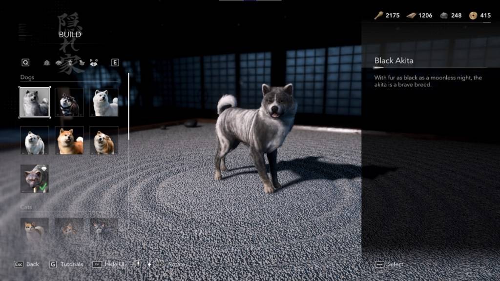 刺客信條陰影中的藏身構建菜單