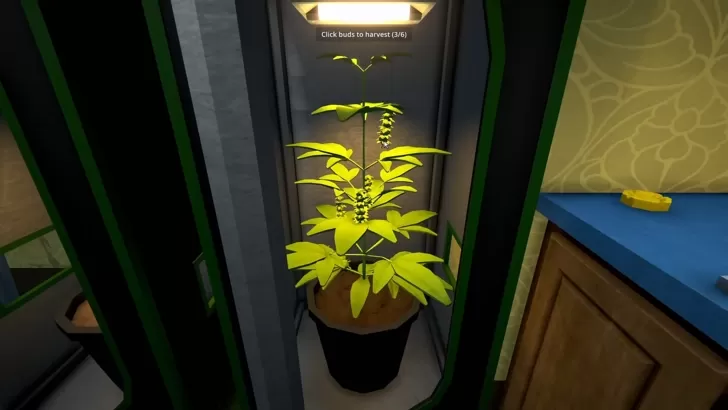 Programa I El acusador de infracción de derechos de autor es bombardeado en su lugar