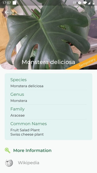 LeafSnap Plant Identification 螢幕截圖 3
