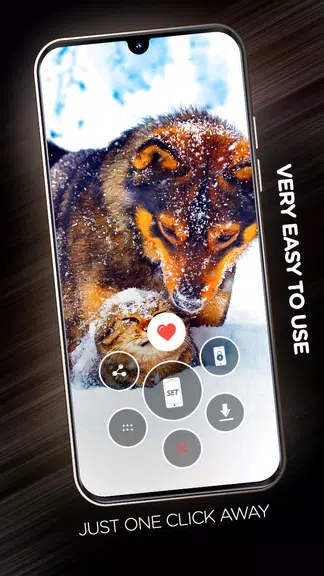 Wallpapers with dogs in 4K 螢幕截圖 1