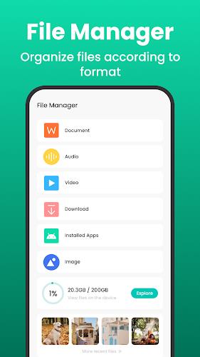 Wise Sweep Master-File Manager 螢幕截圖 0