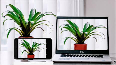 Iriun 4K Webcam for PC and Mac应用截图第1张