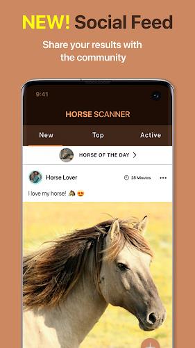 Schermata Horse Scanner 3