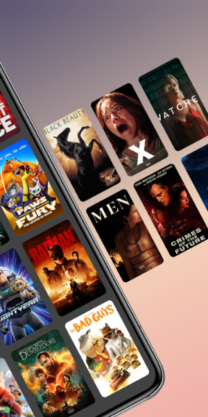 Vidlesy Movies<br><strong>