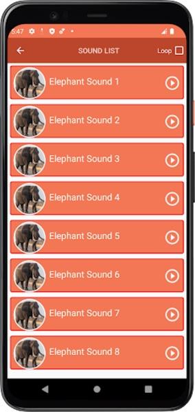 Schermata Elephant Sounds 0