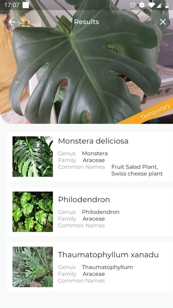 LeafSnap Plant Identification 螢幕截圖 2