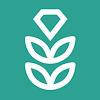 VPN Rice: Fast & Secure Proxy