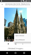 ImageSearchMan - Image Search ဖန်သားပြင်ဓာတ်ပုံ 0