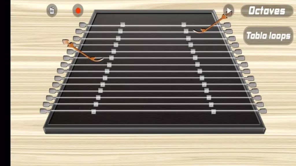 Santoor Pro Скриншот 0