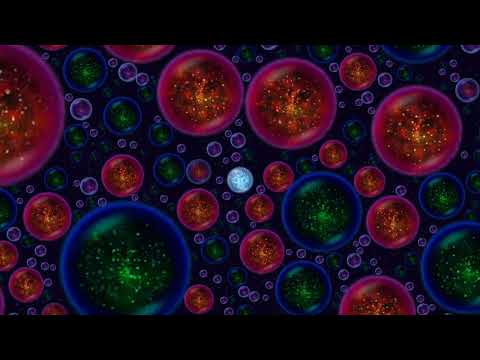The powerhouse of the cell