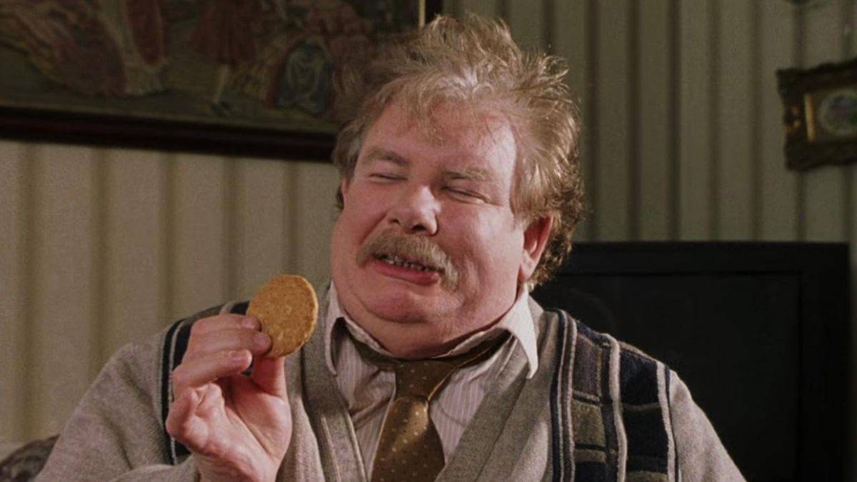 理查德·格里菲斯（Richard Griffiths）饰演哈利·波特（Harry Potter）和巫师的石头