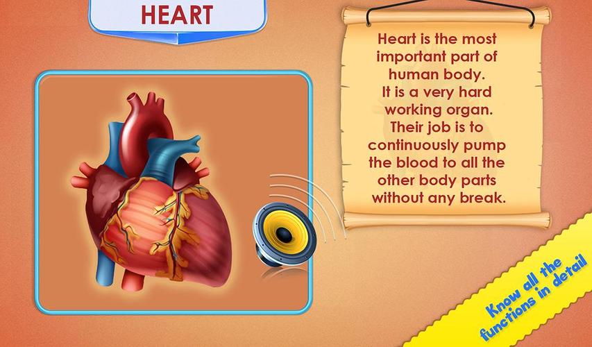 Human Body Parts Ảnh chụp màn hình 2