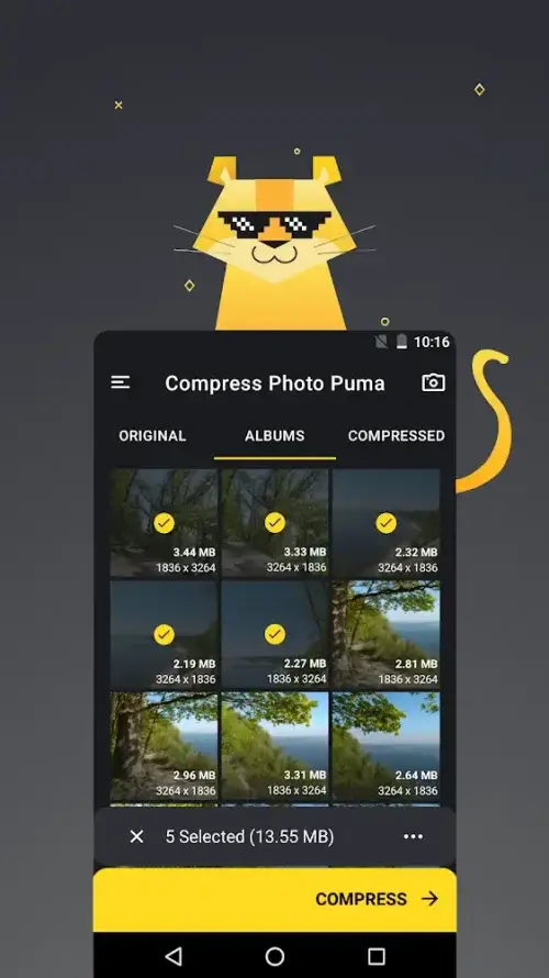 Compress Photo Puma Screenshot 0