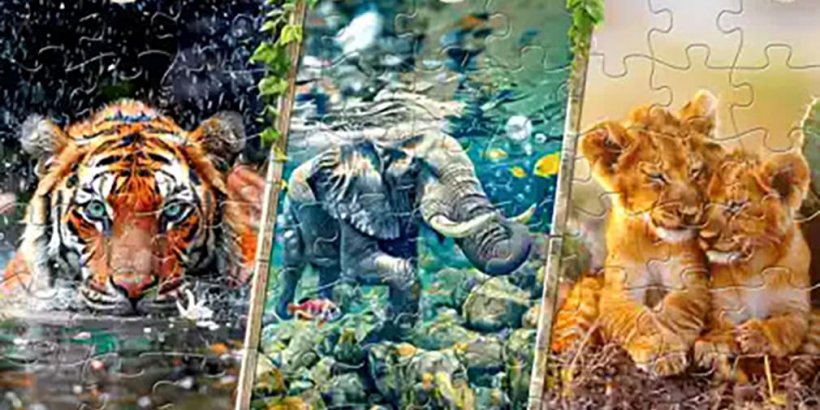 河中的老虎的並排圖像，一頭游泳大象和兩個依sn的獅子幼崽拼圖