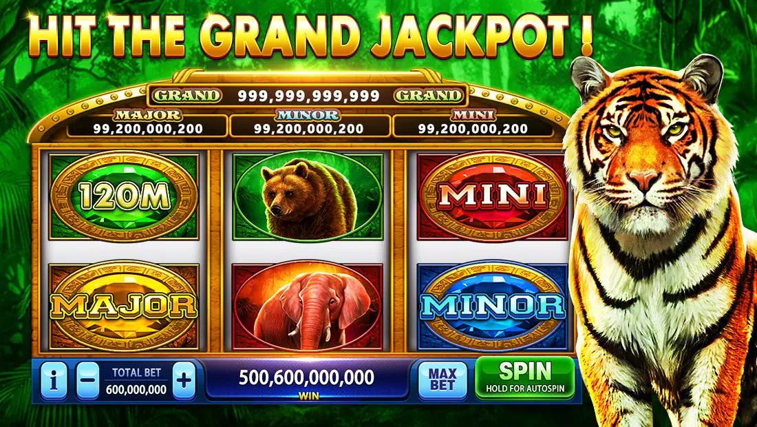 Pirate Fortune Slots Casino Captura de tela 3