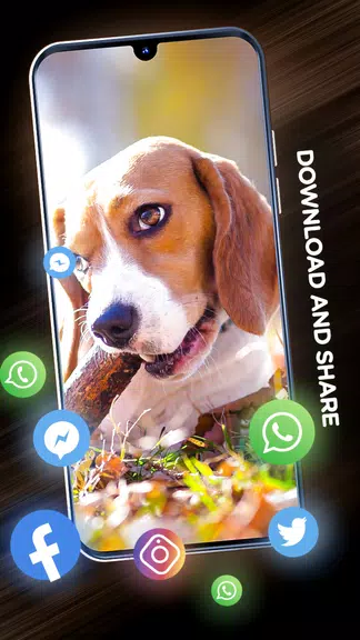 Wallpapers with dogs in 4K 螢幕截圖 2