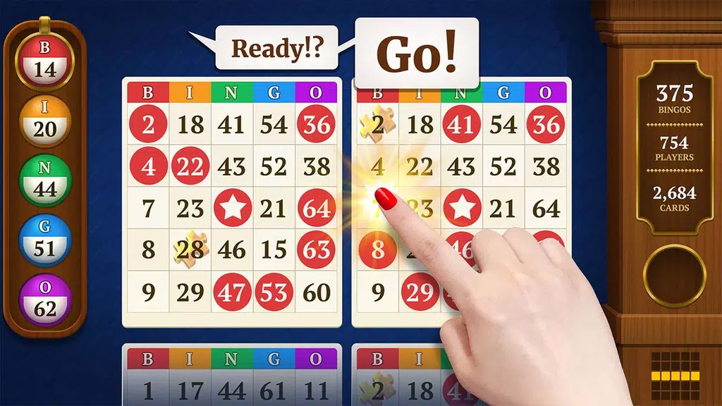 Power Bingo: Free Casino Games 螢幕截圖 0