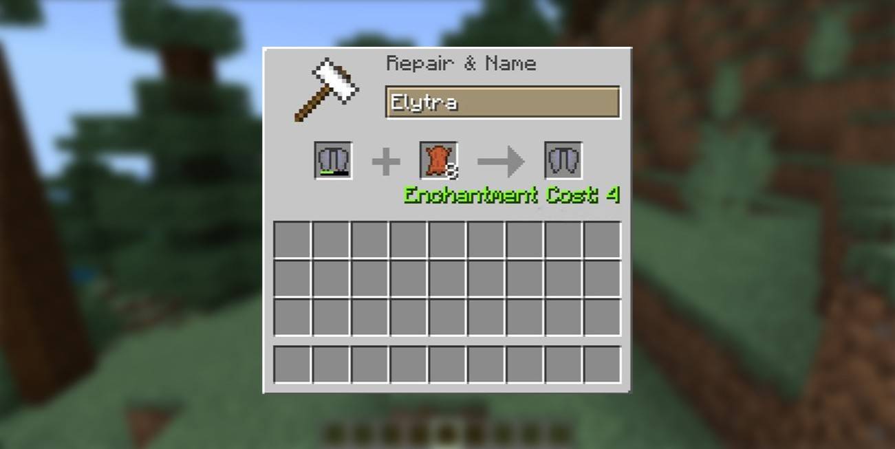 Reparieren Elytra