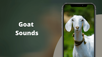 Goat Sounds 螢幕截圖 0