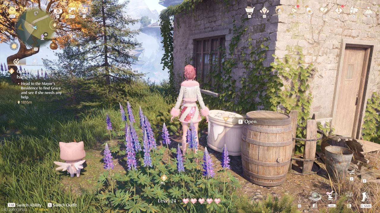 Hidden Treasure Chest