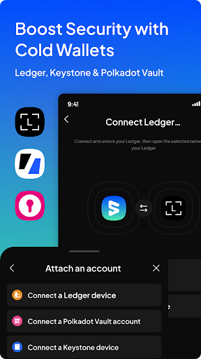 SubWallet 螢幕截圖 1