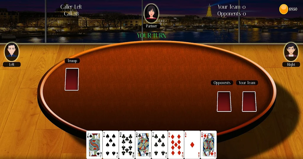 29 Card Game Lite Captura de tela 2