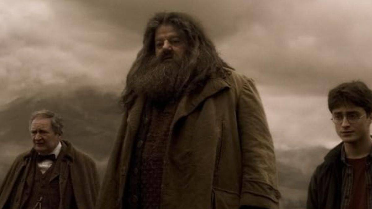 罗比·科尔特兰（Robbie Coltrane）饰演哈利·波特（Harry Potter）和半血王子