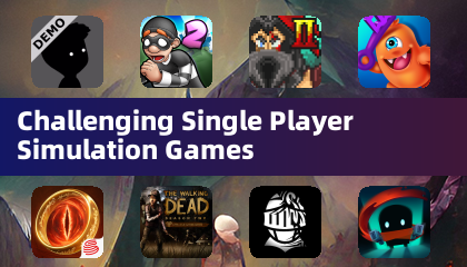 Challenging Single Player Simulation Games