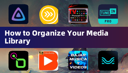 How to Organize Your Media Library
